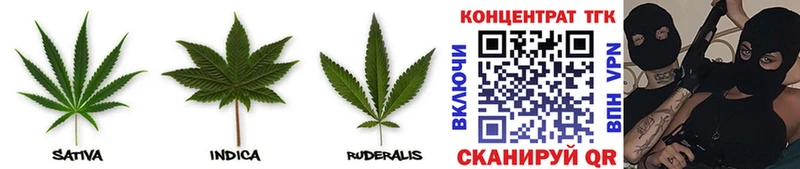 ТГК THC oil  как найти   Болхов 