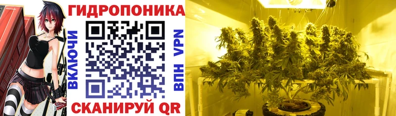Бошки марихуана ГИДРОПОН ссылка на мегу онион Болхов